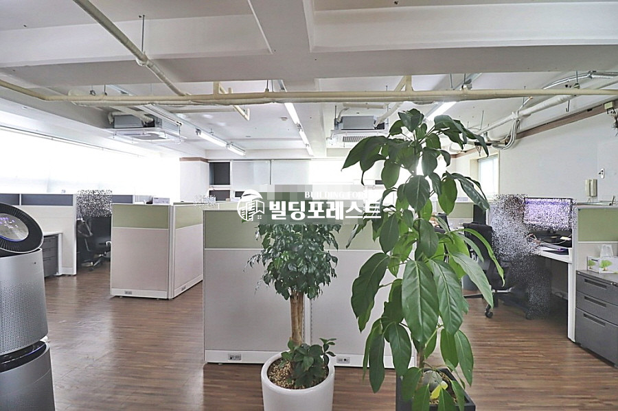 서울 강남구 역삼동 역삼동주민센터 이면 가성비 GOOD 중형사무실 32평 월세 매물번호 12799 사진 6