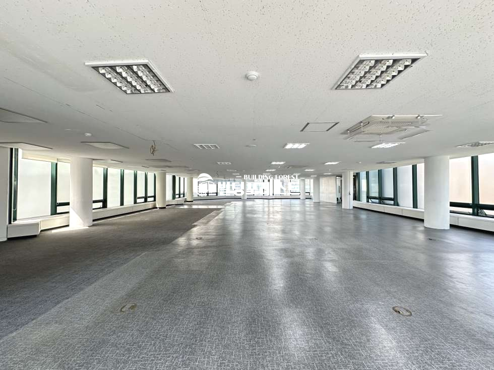 서울 강남구 신사동 신사동 사무실 임대 도산공원사거리 대로변 주차 편리 (전용110평) 월세 매물번호 16248 사진 6