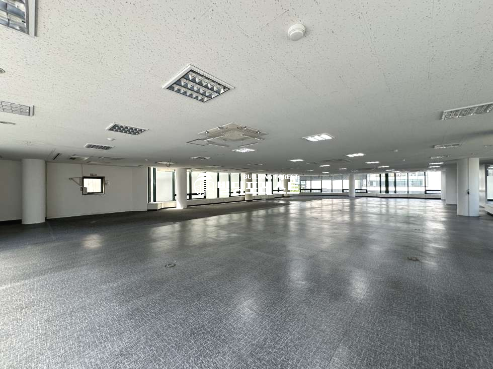 서울 강남구 신사동 신사동 사무실 임대 도산공원사거리 대로변 주차 편리 (전용110평) 월세 매물번호 16248 사진 7