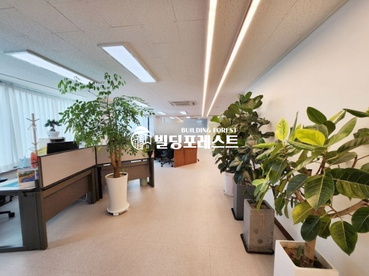 서울 강남구 신사동 압구정로데오역 강남신사동 사무실임대 (실60평) 월세 매물번호 17117 사진 2