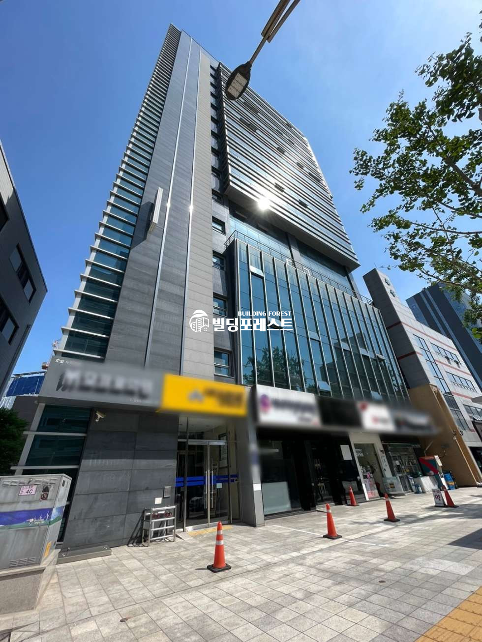 서울 강남구 신사동 신사동 병의원 임대 신사역 도산대로 대로변 건물 연층 추천 실 70평 월세 매물번호 13632 사진 12